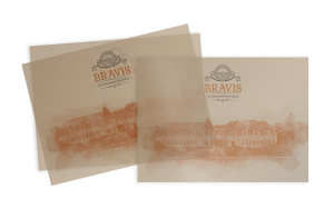 Подперагмент для Bravis